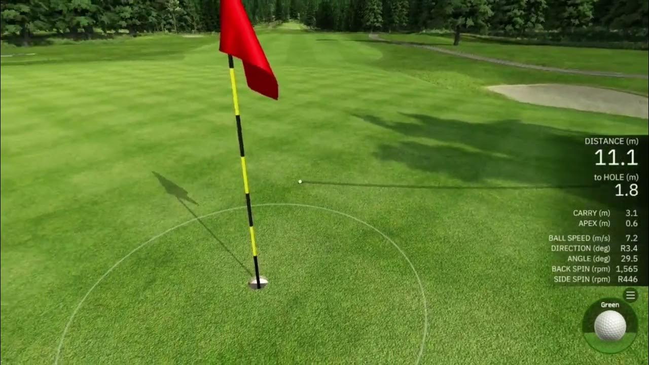 WeGolf Golf Simulator